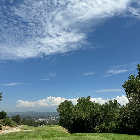 Meet your Posher, Al - Picture 1 of 1